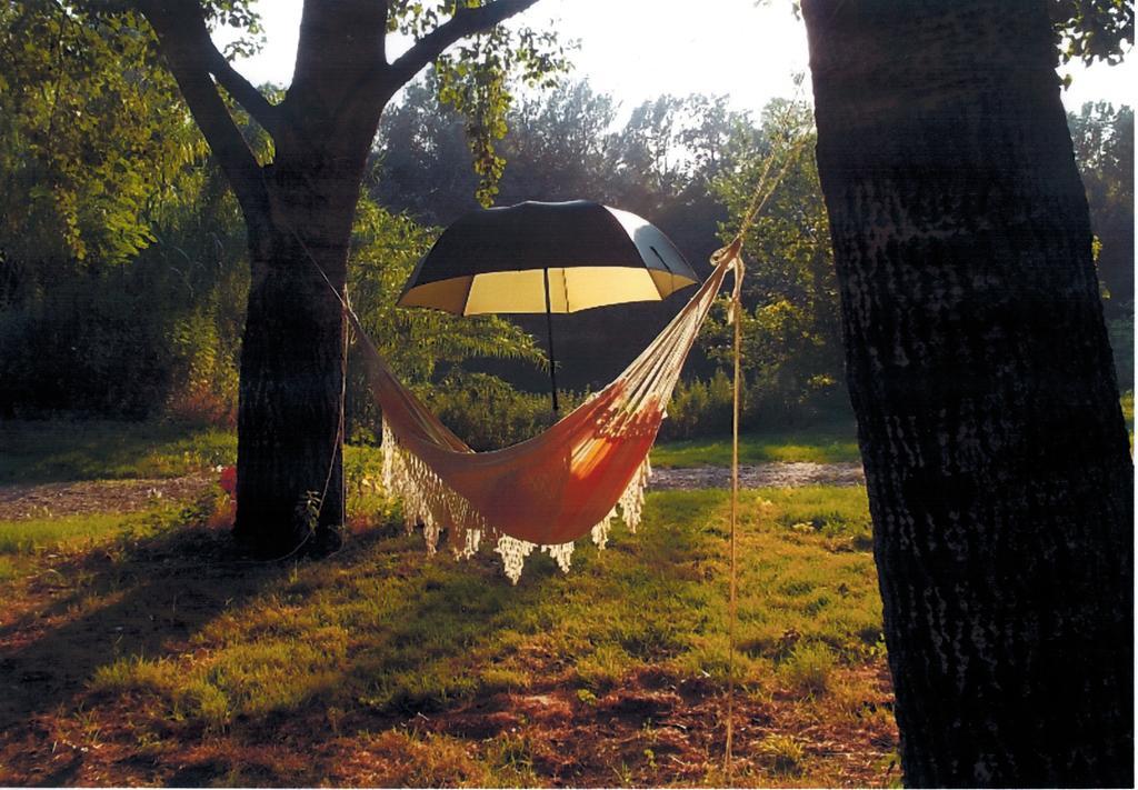 Camping Paradis Bellerive Montfrin Exteriér fotografie