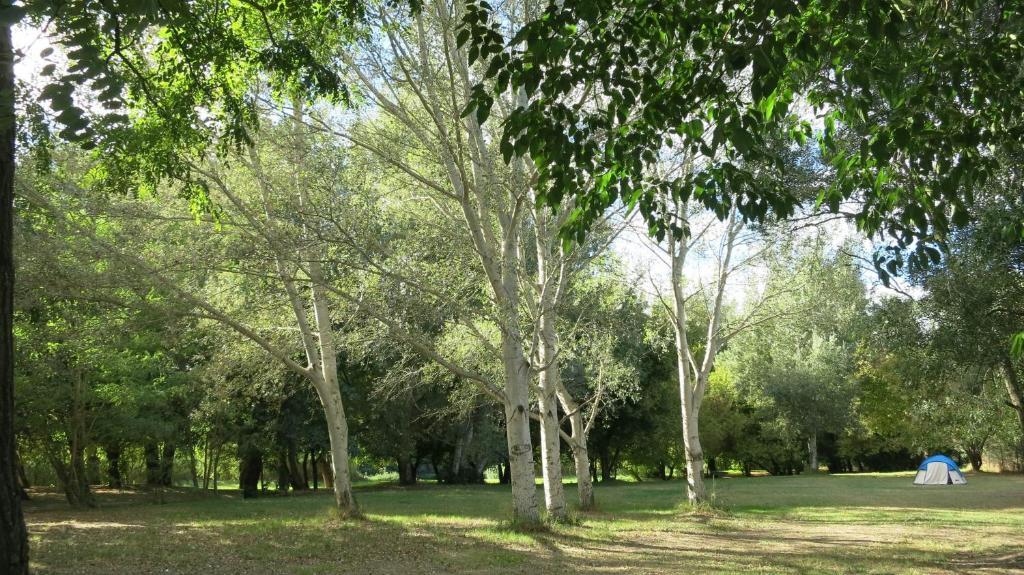 Camping Paradis Bellerive Montfrin Exteriér fotografie