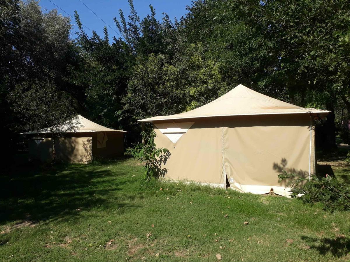Camping Paradis Bellerive Montfrin Exteriér fotografie